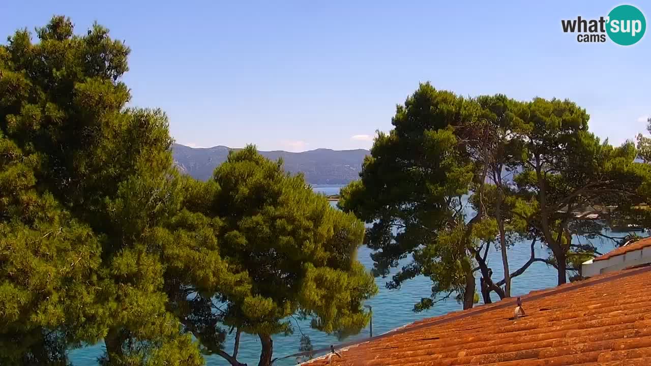 Lumbarda resort Web Kamera Korčula