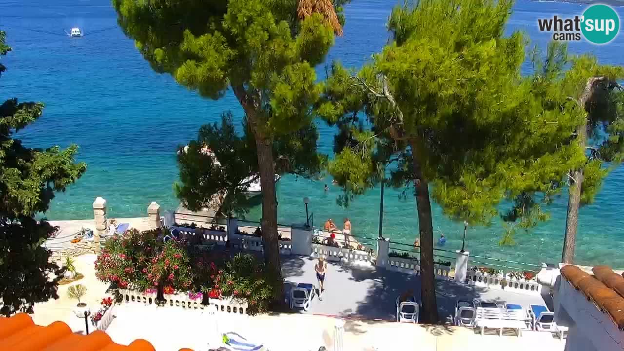 Lumbarda resort Spletna kamera Korčula