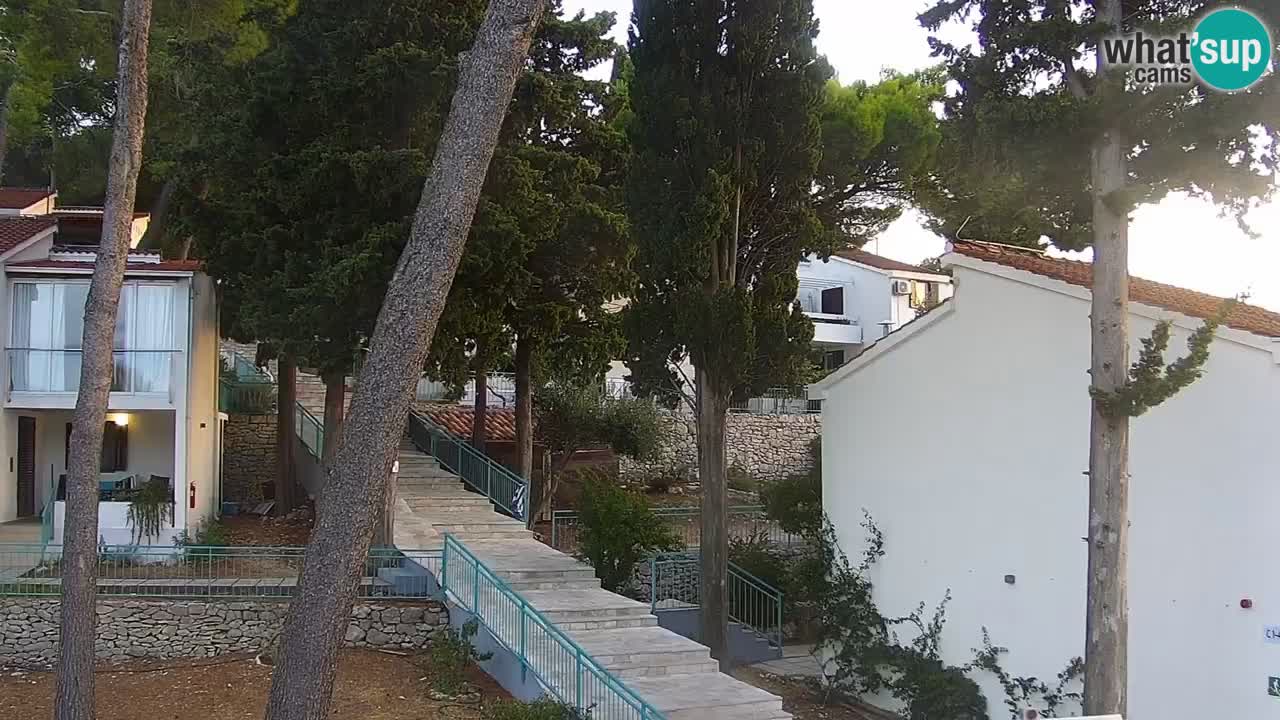 Lumbarda resort – livecam Korčula