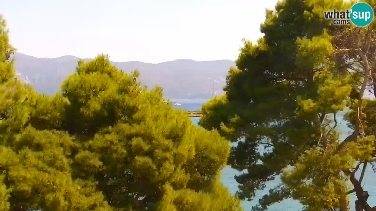 Lumbarda resort Webcam Korčula