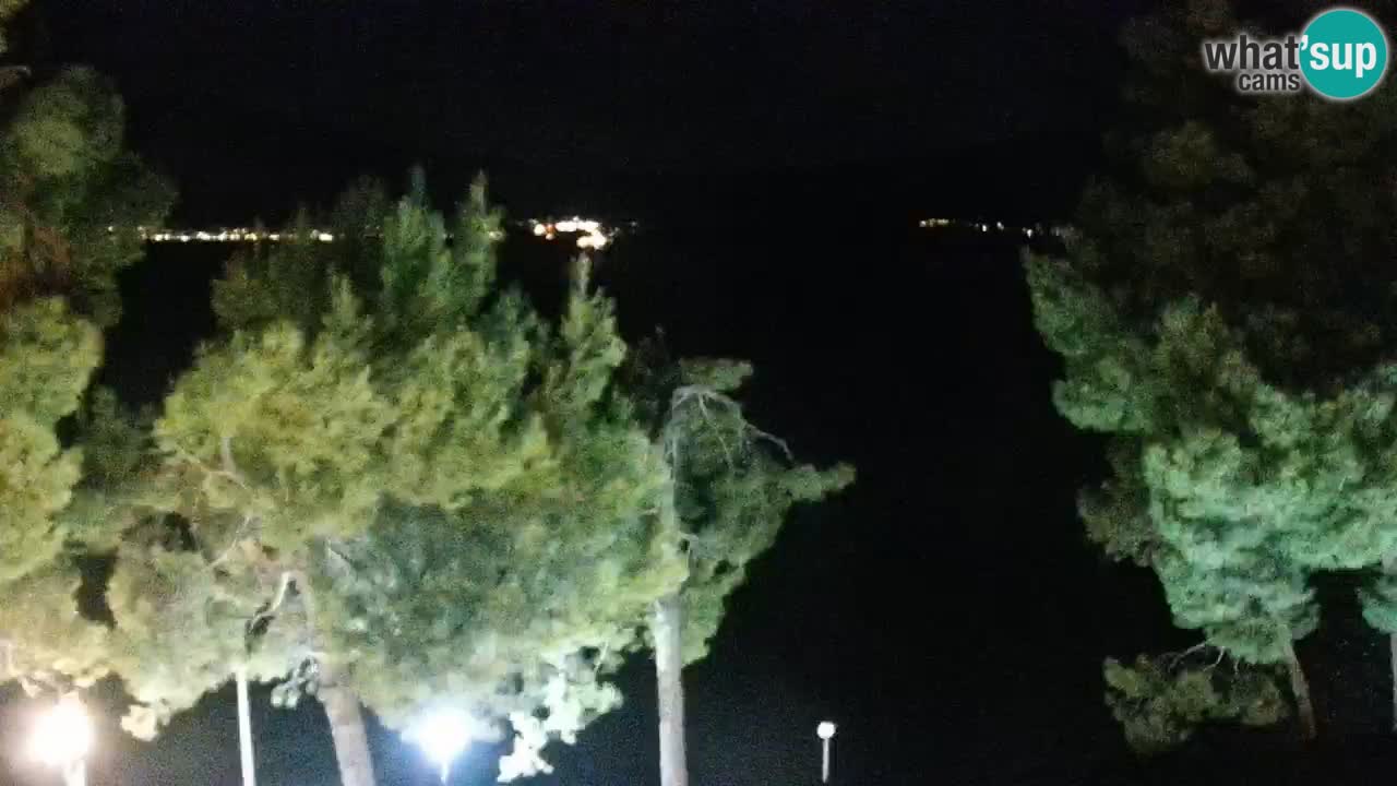 Lumbarda resort Web Kamera Korčula