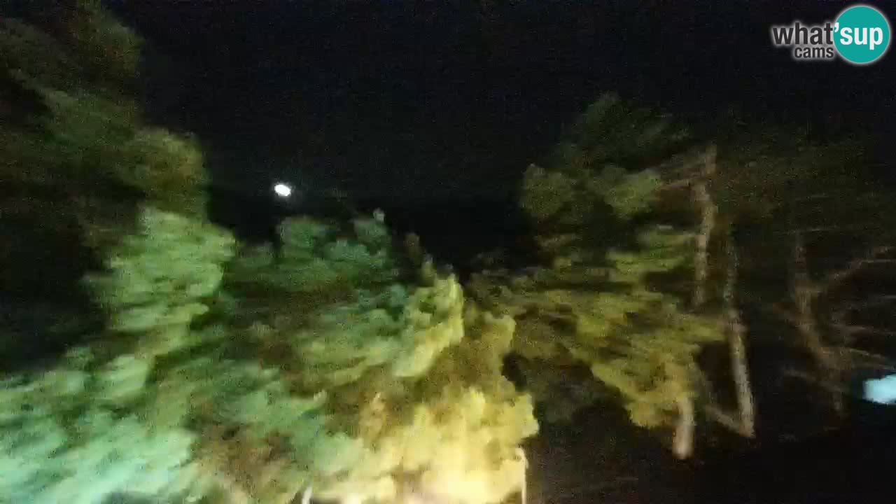 Lumbarda Resort webcam Kurzel