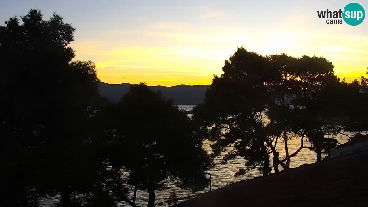 Lumbarda resort – livecam Korčula