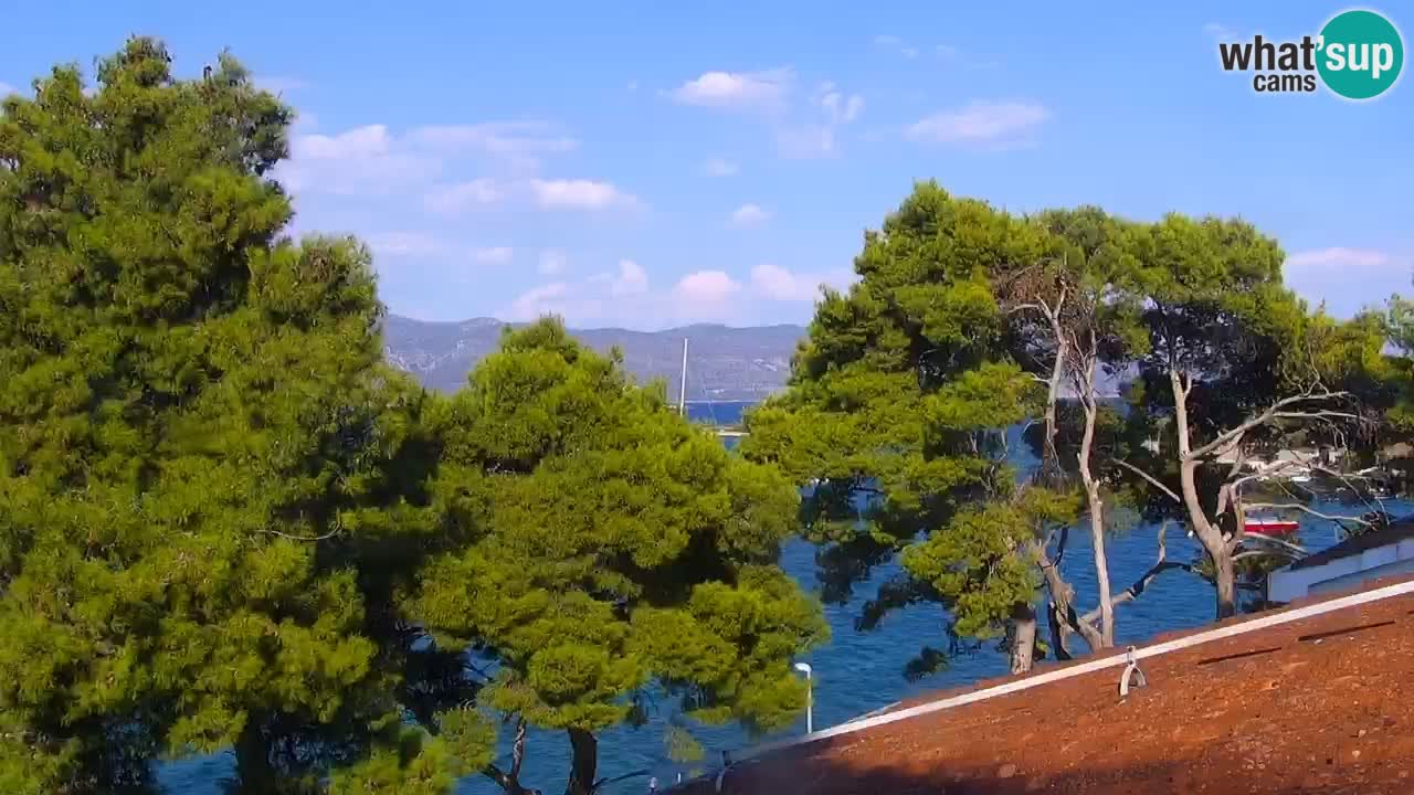 Lumbarda Resort camera en vivo Korčula