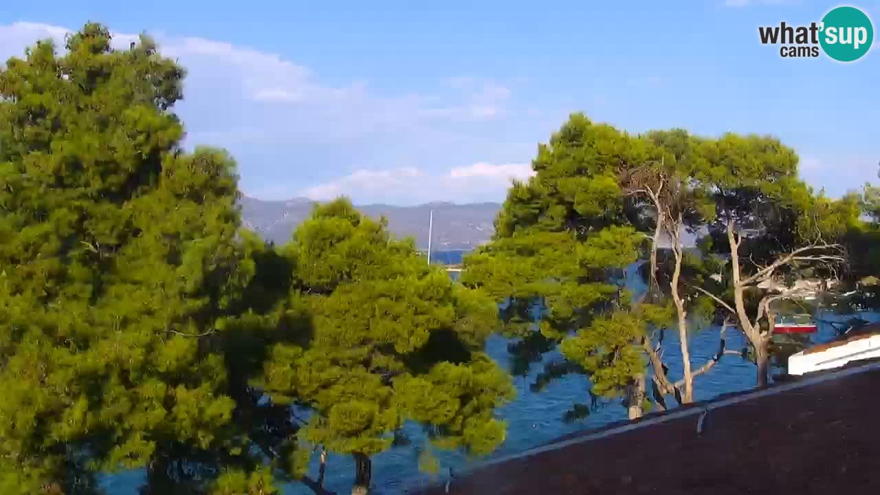 Lumbarda Resort camera en vivo Korčula