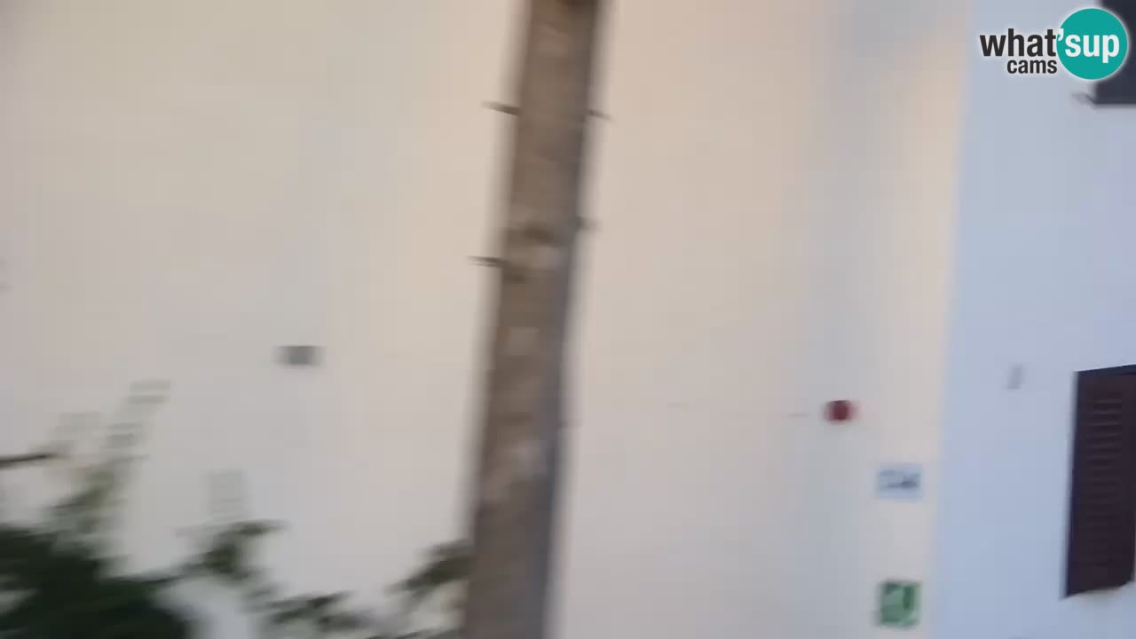 Lumbarda resort – livecam Korčula