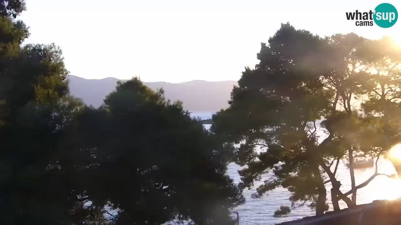 Lumbarda resort Web Kamera Korčula