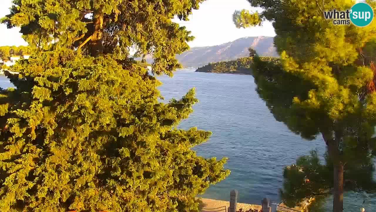 Lumbarda resort Web Kamera Korčula