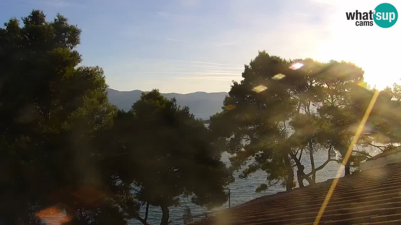 Lumbarda resort Webcam Korčula