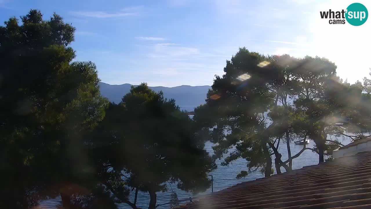 Lumbarda resort Web Kamera Korčula