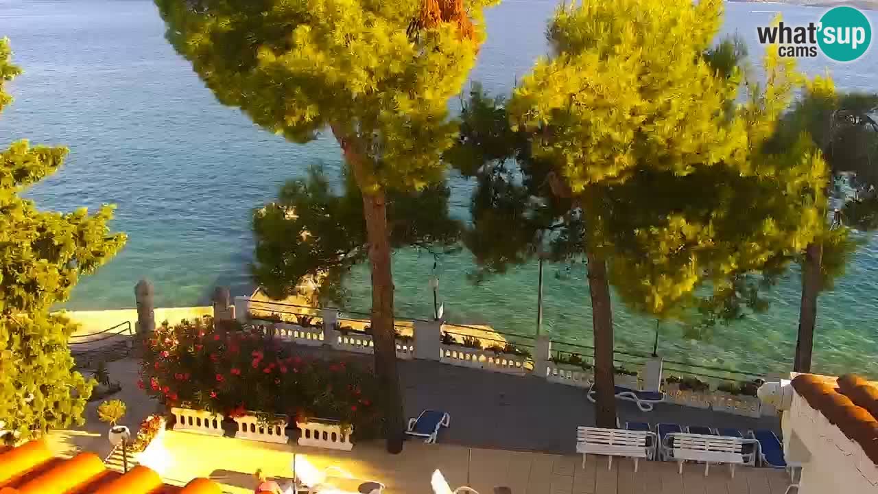 Lumbarda Resort camera en vivo Korčula