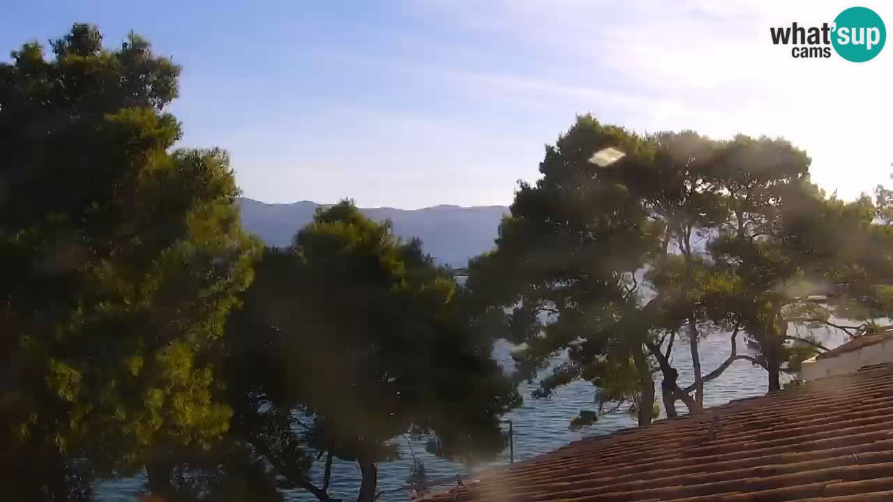 Lumbarda resort Web Kamera Korčula