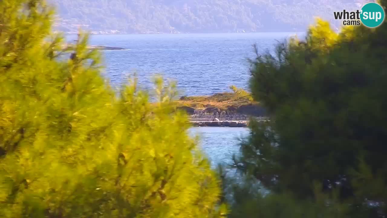 Lumbarda Resort live cam Curzola