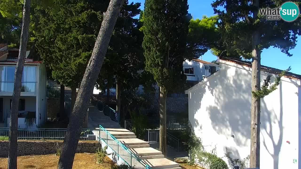 Lumbarda resort Web Kamera Korčula