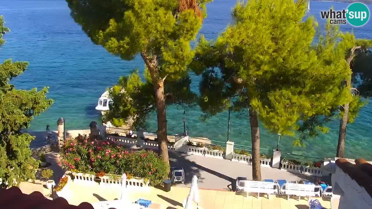 Lumbarda resort Spletna kamera Korčula
