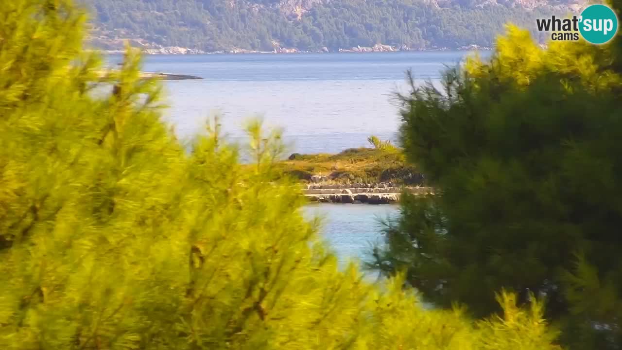 Lumbarda Resort camera en vivo Korčula