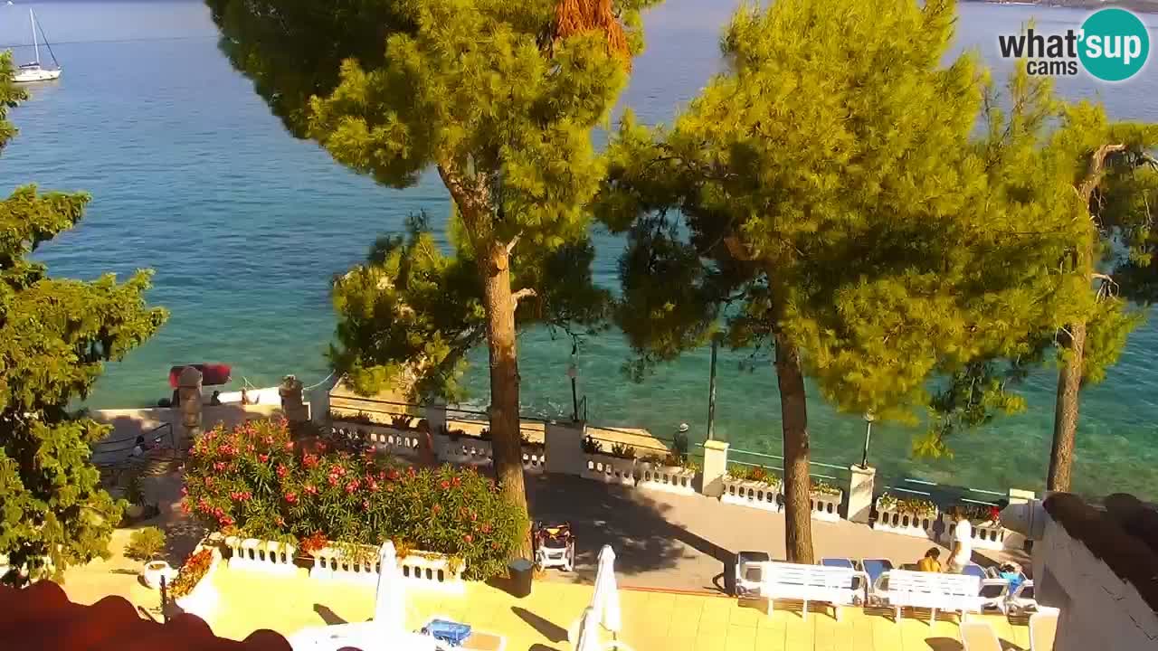 Lumbarda Resort camera en vivo Korčula