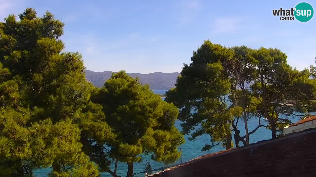 Lumbarda Resort camera en vivo Korčula