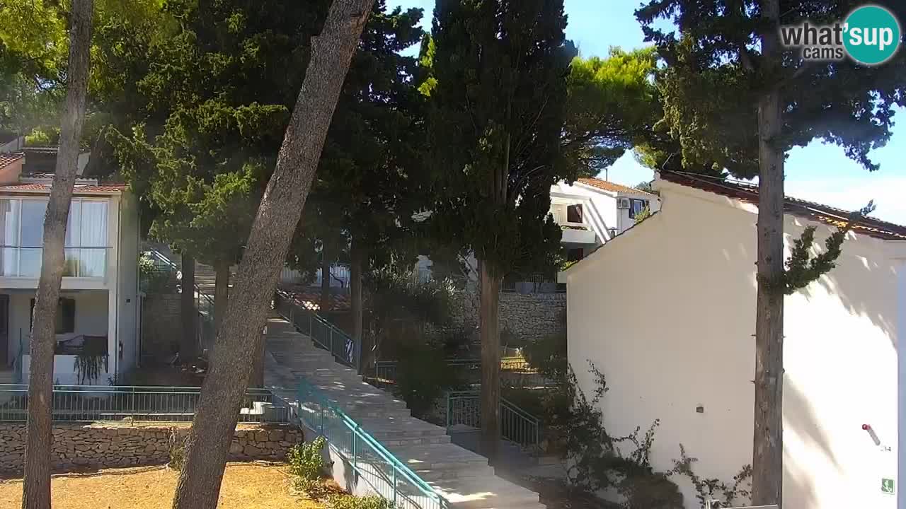 Lumbarda resort Spletna kamera Korčula