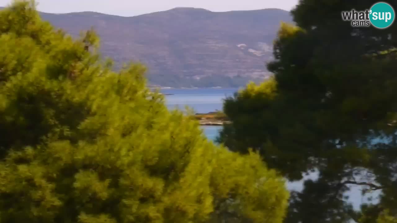 Lumbarda Resort camera en vivo Korčula