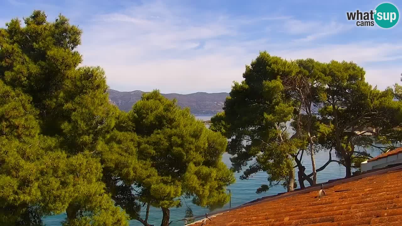 Lumbarda resort – livecam Korčula