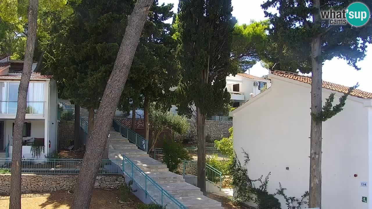 Lumbarda resort Webcam Korčula