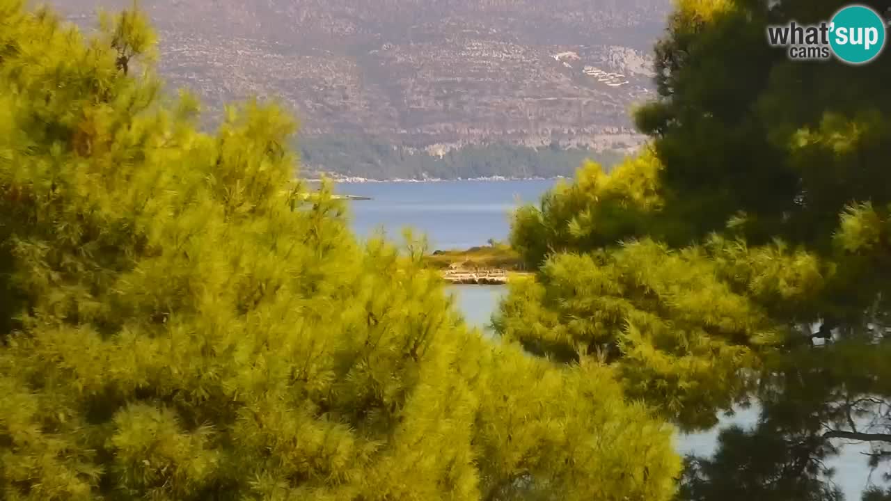 Lumbarda resort Spletna kamera Korčula