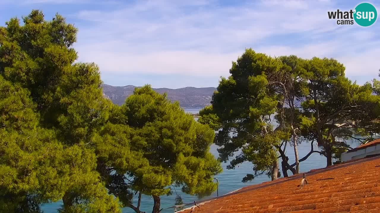 Lumbarda resort Webcam Korčula