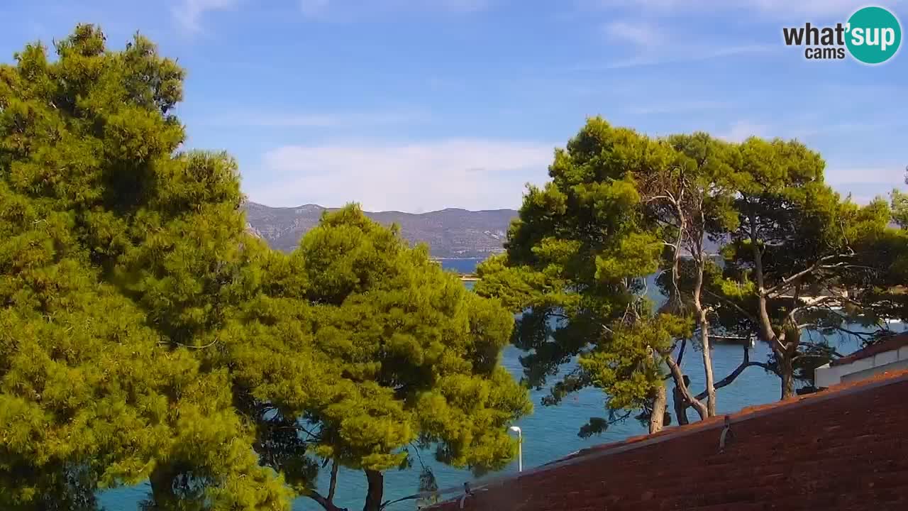 Lumbarda resort – livecam Korčula