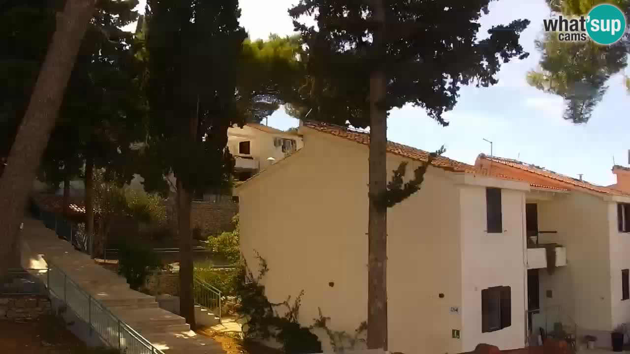 Lumbarda resort – livecam Korčula