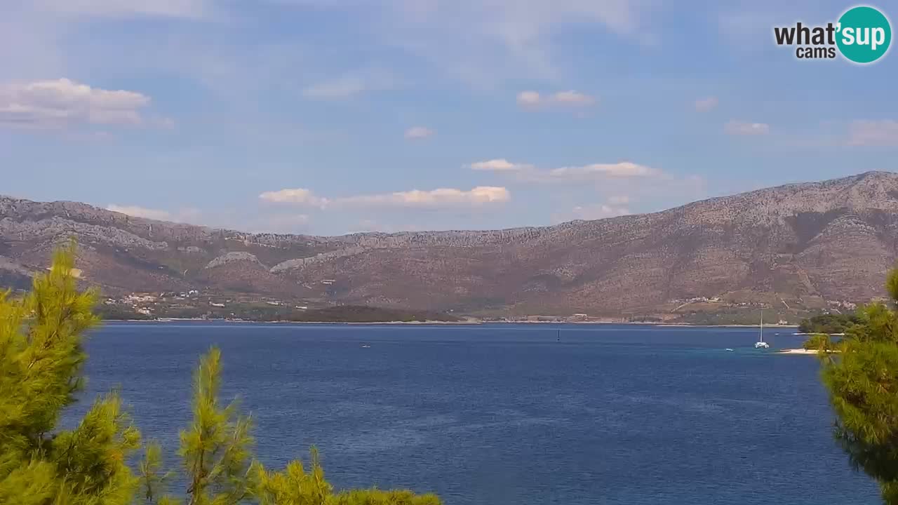 Lumbarda resort Spletna kamera Korčula