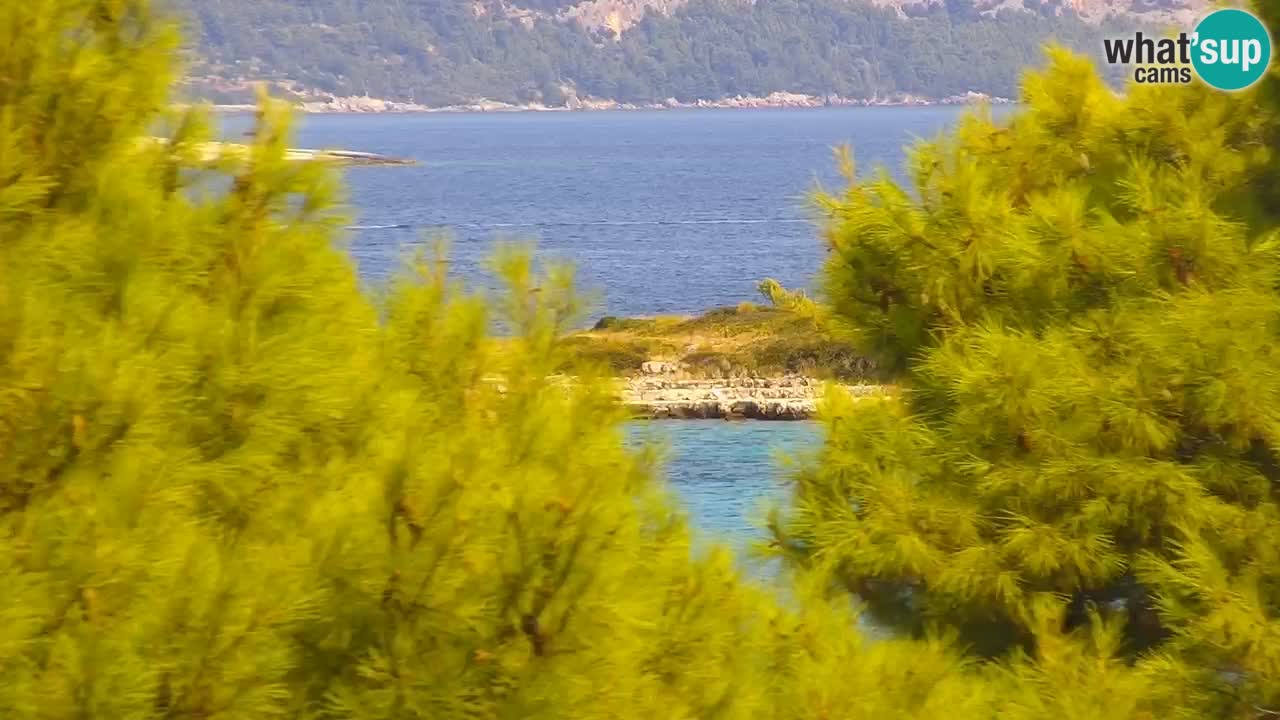 Lumbarda resort Web Kamera Korčula