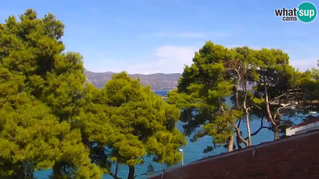 Lumbarda resort Spletna kamera Korčula