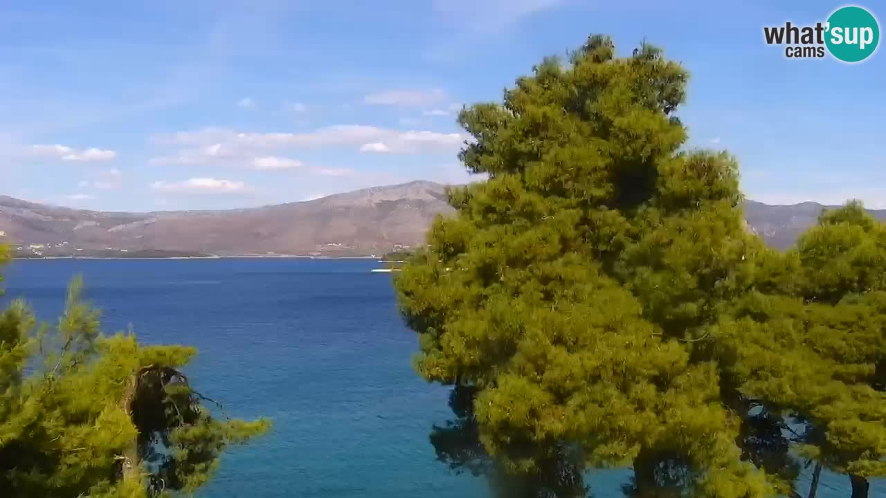 Lumbarda Resort camera en vivo Korčula