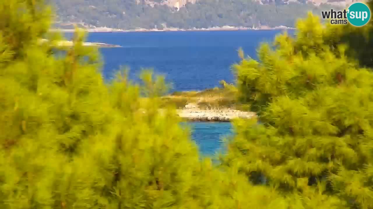 Lumbarda resort Spletna kamera Korčula