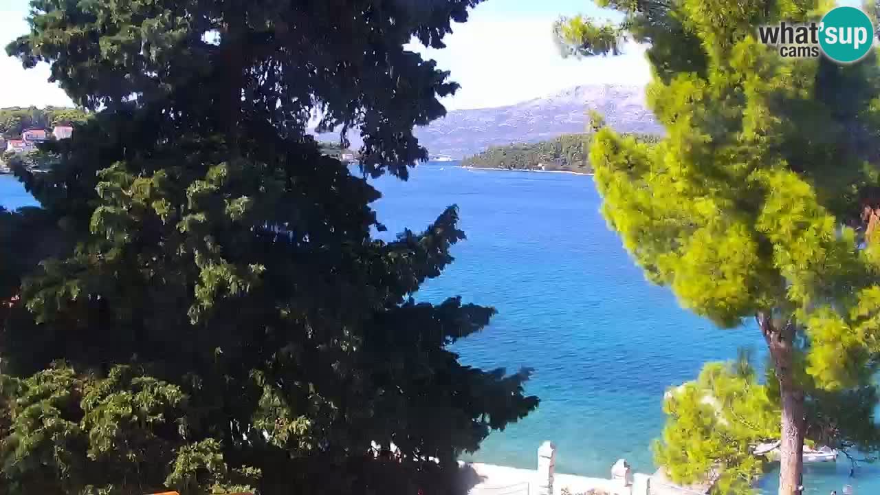Lumbarda resort Web Kamera Korčula