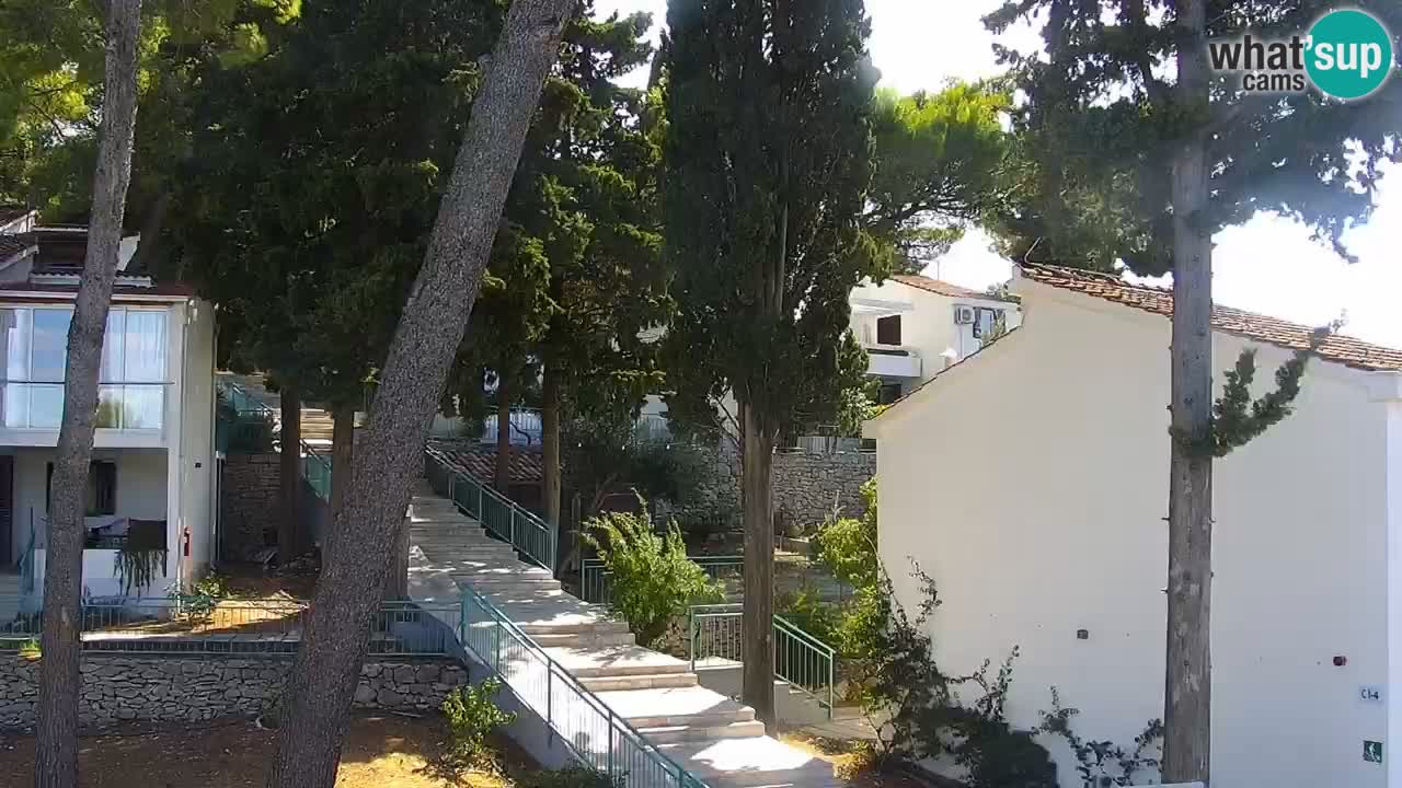 Lumbarda resort Spletna kamera Korčula