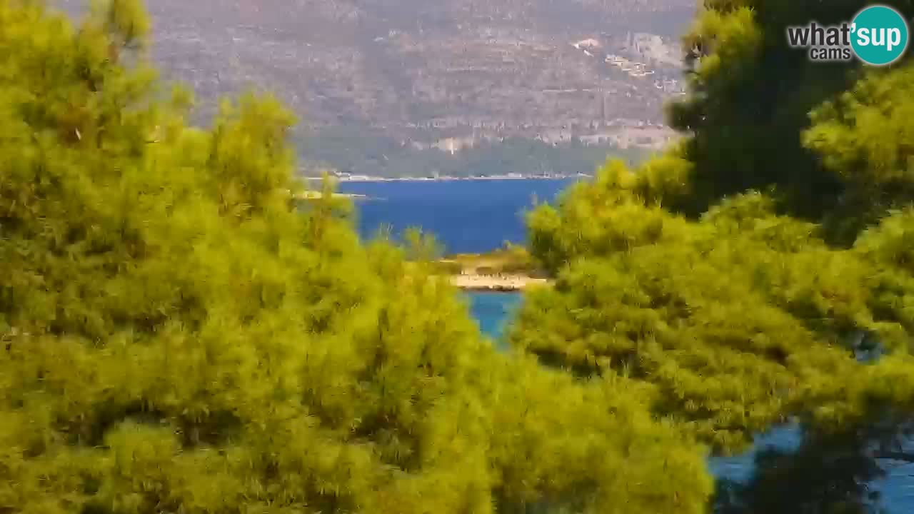 Lumbarda resort Spletna kamera Korčula
