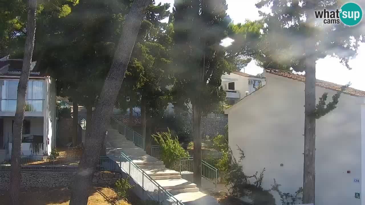 Lumbarda resort – livecam Korčula