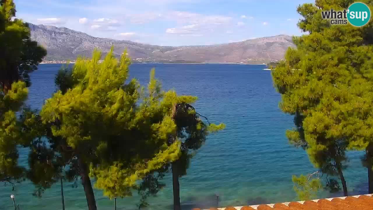 Lumbarda resort – livecam Korčula