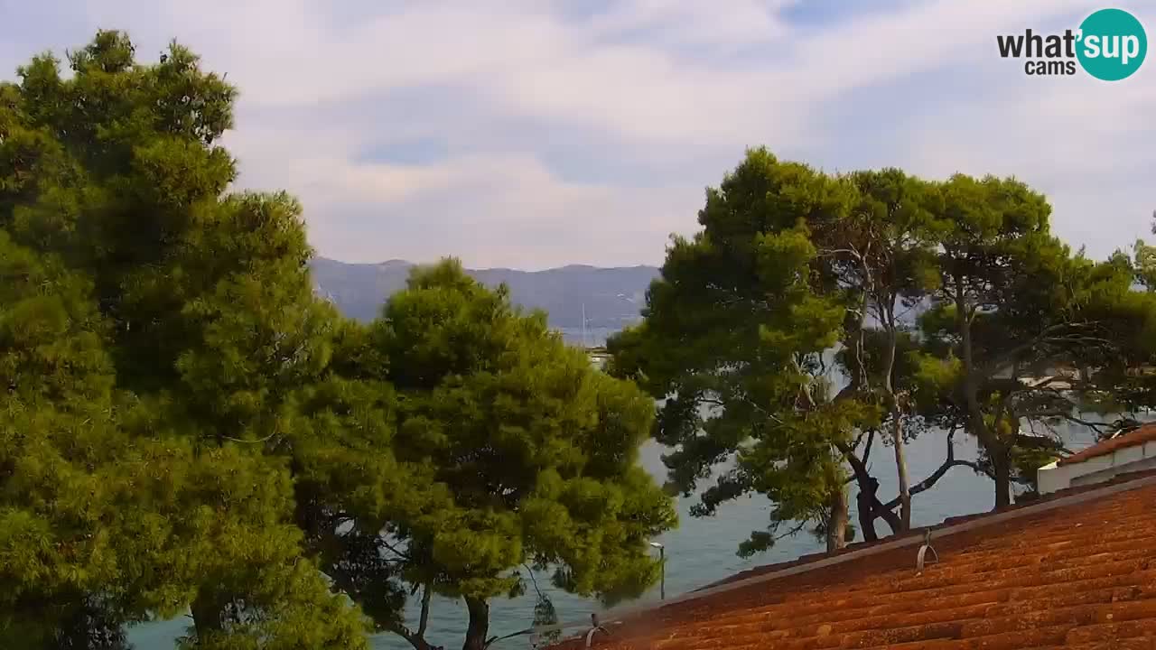 Lumbarda resort Webcam Korčula