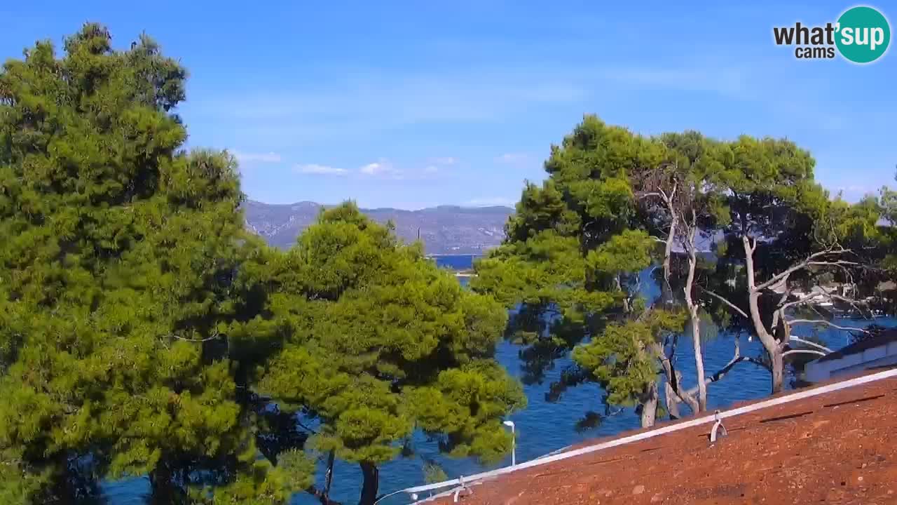 Lumbarda resort Spletna kamera Korčula