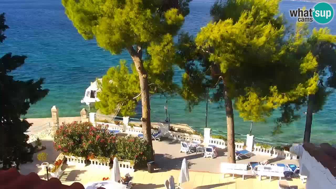 Lumbarda resort Web Kamera Korčula