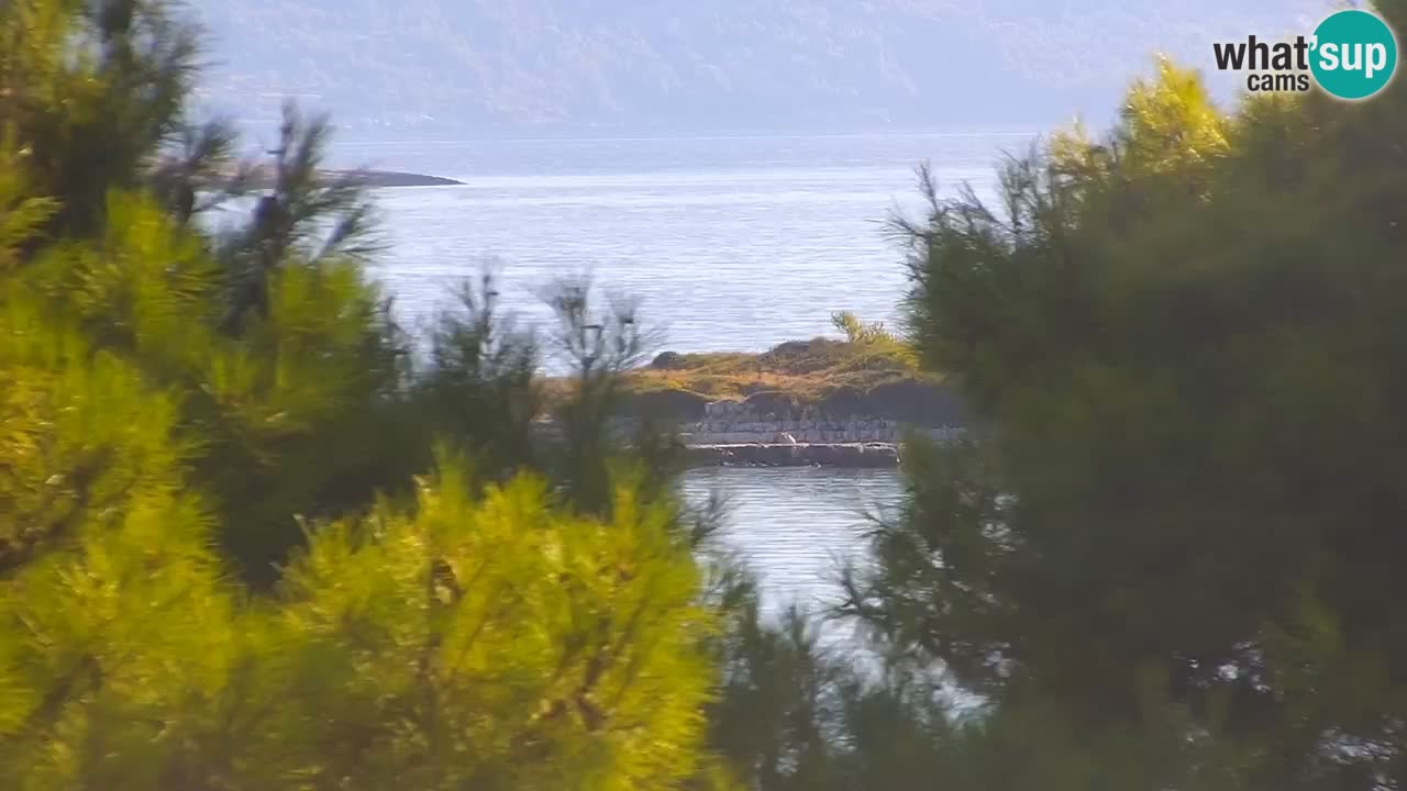 Lumbarda resort Spletna kamera Korčula