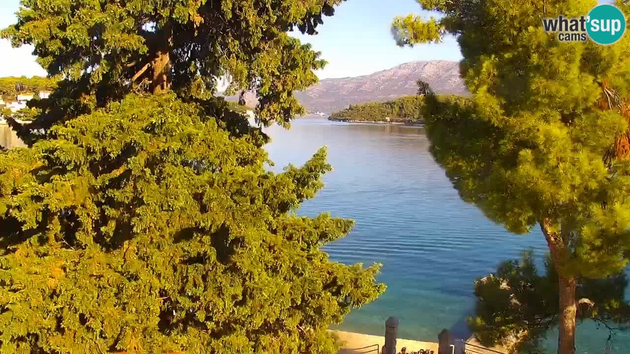 Lumbarda resort – livecam Korčula