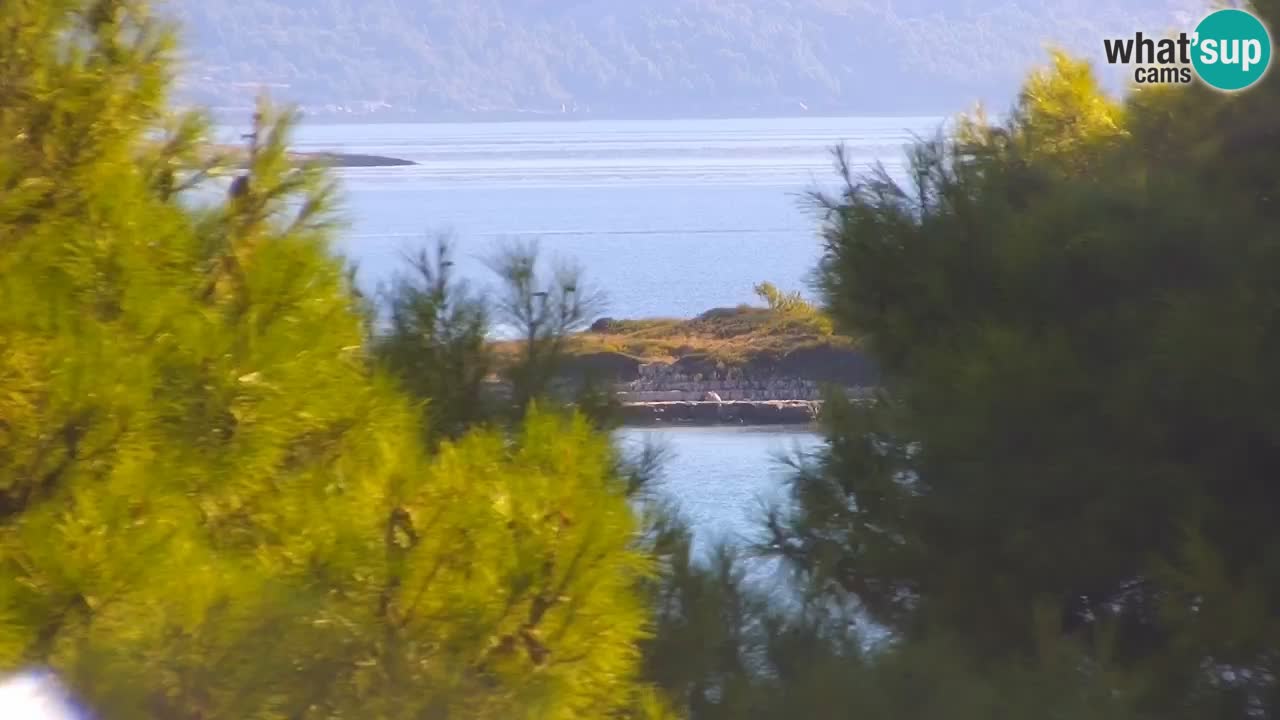 Lumbarda Resort camera en vivo Korčula