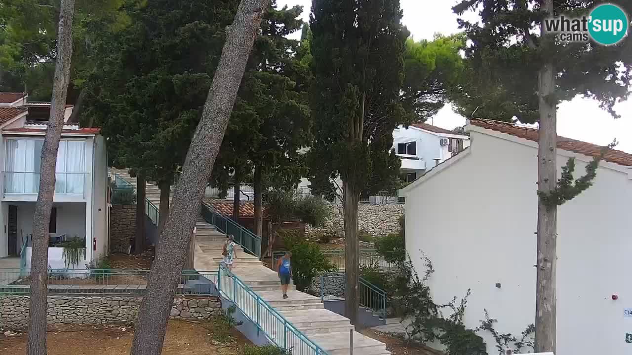 Lumbarda resort Spletna kamera Korčula