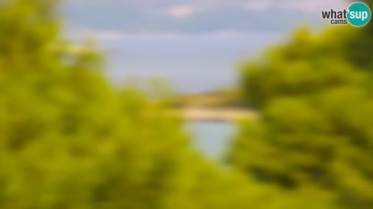 Lumbarda resort Spletna kamera Korčula