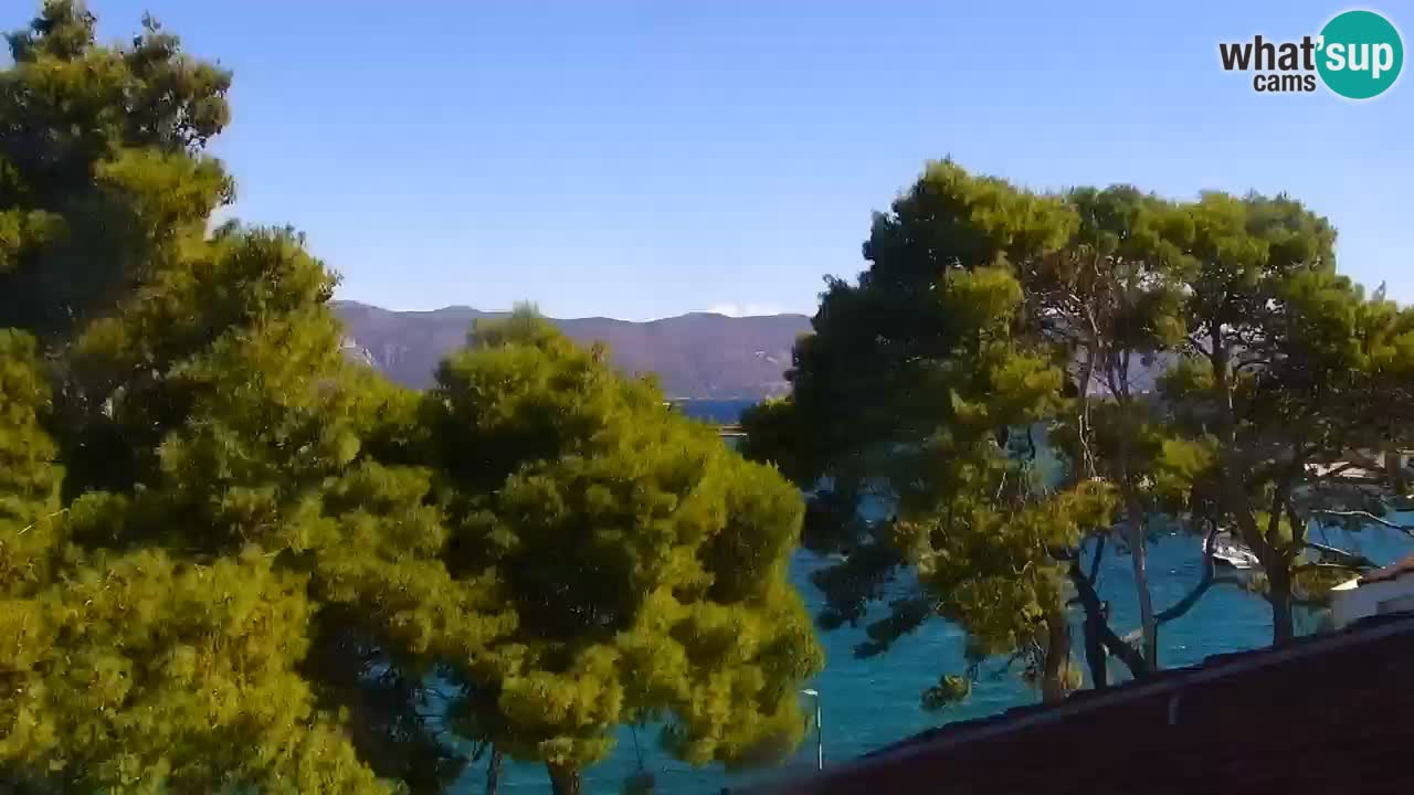 Lumbarda resort Web Kamera Korčula