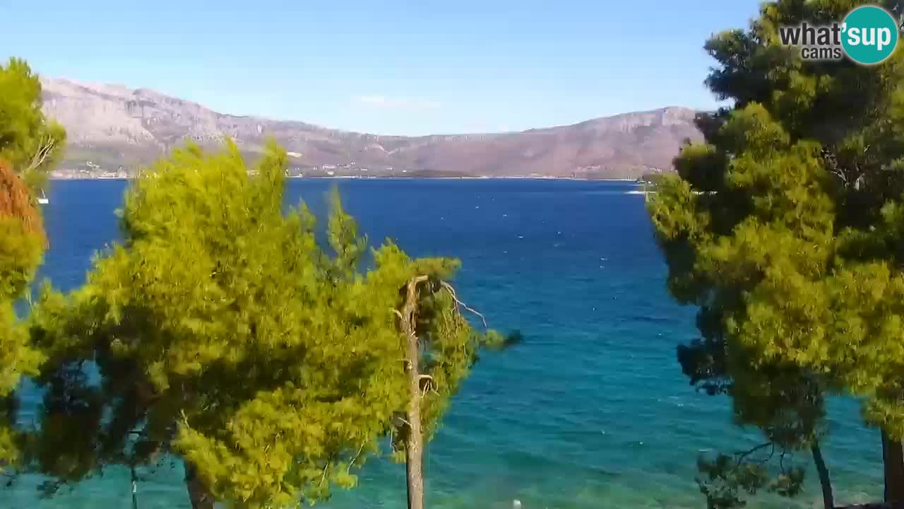 Lumbarda resort Web Kamera Korčula